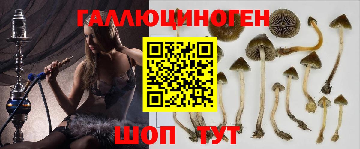 Елец  Псилоцибиновые грибы Cubensis  Вход с VPN 